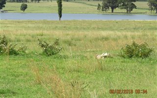 1224 m² Land available in Struisbult