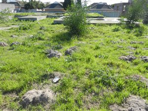 1001 m² Land available in Haasendal