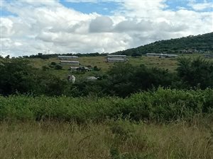 35 ha Farm in East London Central