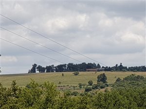 25 ha Farm in Muldersdrift