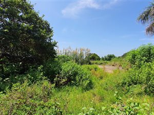 1338 m² Land available in Woodgrange