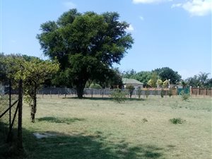 1 ha Farm in Rand Collieries