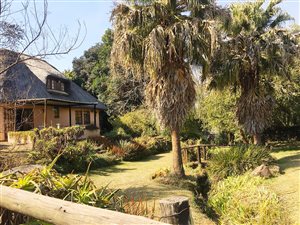 4 Bed House in Howick