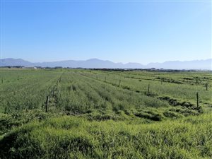 4.2 ha Land available in Schaap Kraal