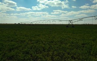 1717 ha Farm in Vryburg
