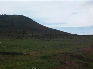 2.6 ha Land available in Tsolo