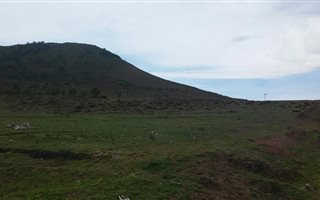 2.6 ha Land available in Tsolo