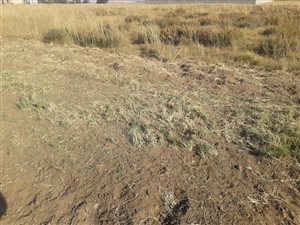 1168 m² Land available in Jameson Park