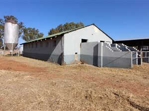 80 ha Farm in Wilgeboom AH