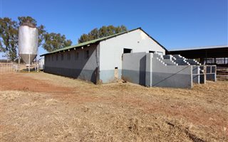 80 ha Farm in Wilgeboom AH