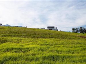 1253 m² Land available in Blanco