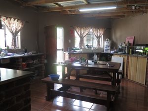 3 Bed House in Northmead