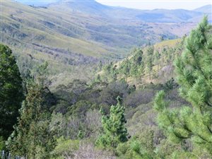 300 ha Farm in Uniondale
