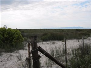 1482.5 ha Farm in Hopefield