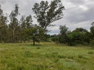 9 ha Farm in Zwartkop