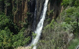 334 ha Farm in Memel