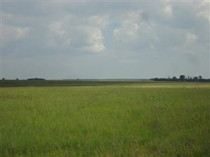568 ha Farm in Bronkhorstspruit