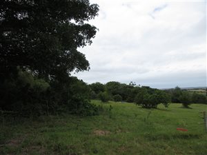 2 ha Land available in Bathurst and Surrounds