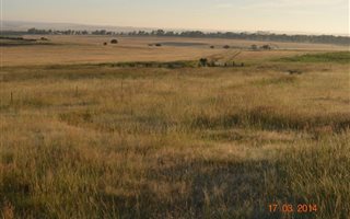 1657.3 ha Farm in Senekal