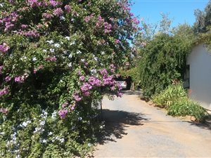 3 Bed House in Vryburg