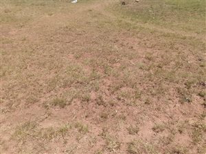 1399 m² Land available in Shalimar Ridge