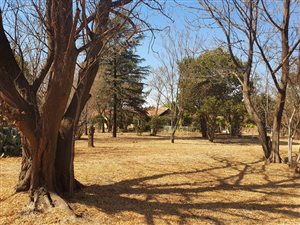 7 Bed House in Rispark