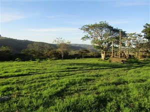 83 ha Farm in East London Rural