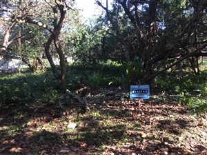 1358 m² Land available in Glenmore