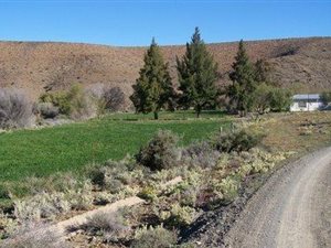 29 ha Farm in Laingsburg