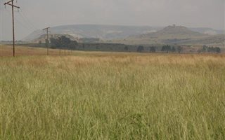 493 ha Farm in Senekal