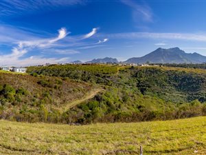 1154 m² Land available in Welgelegen Estate