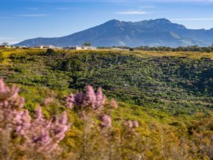 1154 m² Land available in Welgelegen Estate