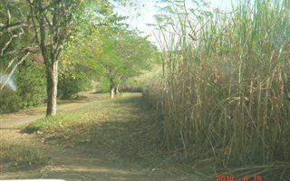 Farm in Verulam