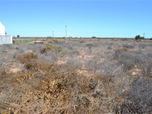 816 m² Land available in Lamberts Bay