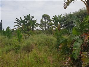 1121 m² Land available in Leisure Bay