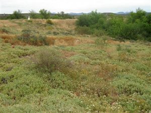 1361 m² Land available in Oudtshoorn
