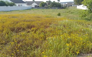 1100 m² Land available in Country Club