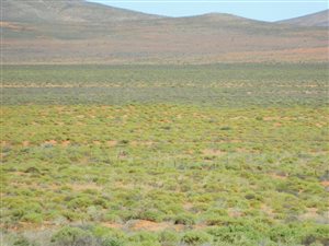 4252 ha Farm in Springbok