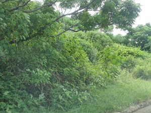 962 m² Land available in Chesterville