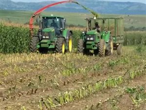 443 ha Farm in Newcastle Central