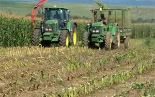 443 ha Farm in Newcastle Central