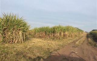 110 ha Farm in Uvongo