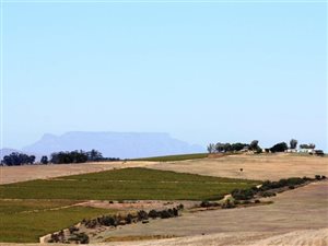 237 ha Farm in Malmesbury