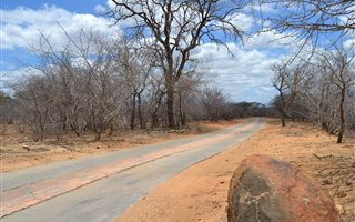 8570 m² Land available in Zandspruit Bush and Aero Estate