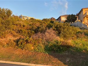 973 m² Land available in Island View