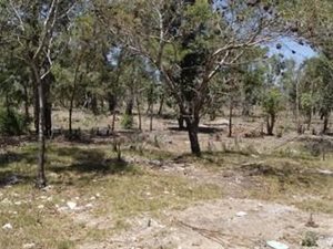 2 ha Land available in Greenbushes