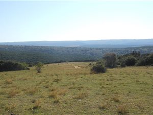 947 ha Farm in Grahamstown