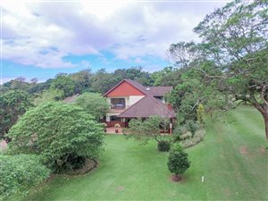 3 Bed House in Pennington