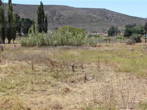 1894 m² Land available in Uniondale