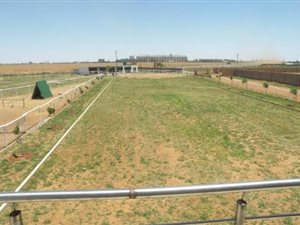 1 ha Farm in Lichtenburg